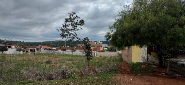 WhatsApp Image 2025-12-07 at 21.33.22